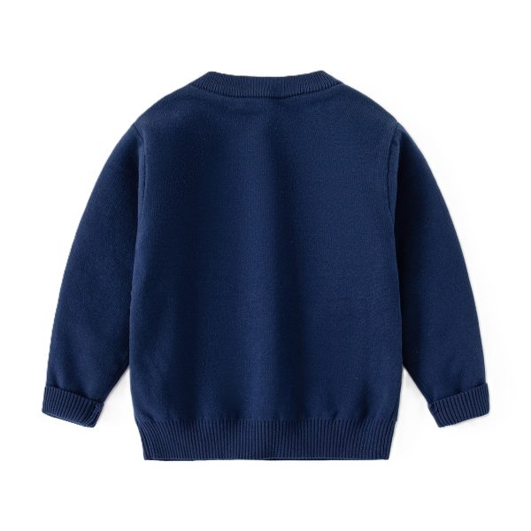 Boy‘s Sweater 男童提花恐龙毛衣 - 图片 3